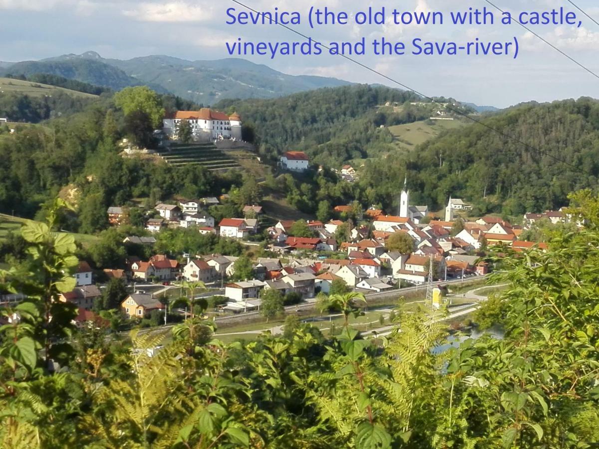 Getaway "At The Three Lights" Vila Sevnica Exterior foto